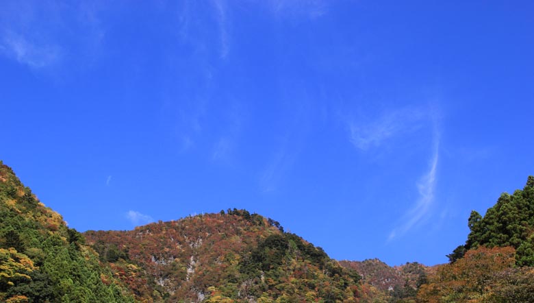 ブルーすカイ