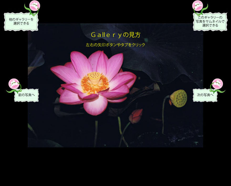 Ｇａllｅｒｙの見方