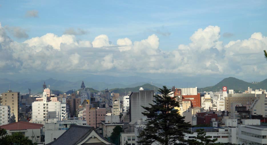 本格的な夏の始まり