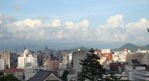 本格的な夏の始まり