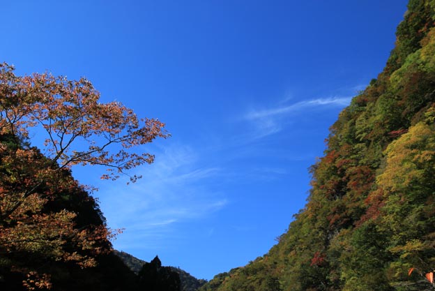 山が、もみじし始める