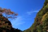 山が、もみじし始める