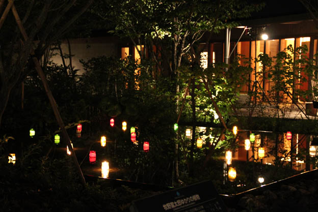 夜の植物園
