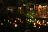 夜の植物園