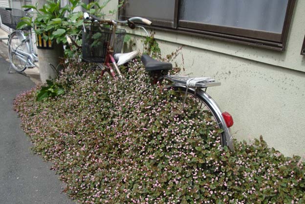 いつのまにか