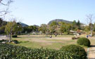 春野運動公園遊び場
