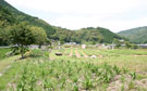 ホタルの里公園