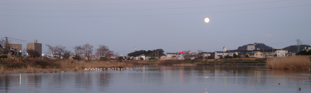 鏡川と夕月