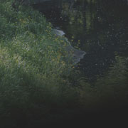 bio